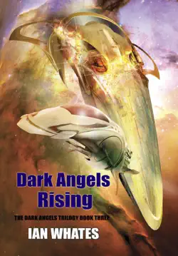 dark angels rising book cover image