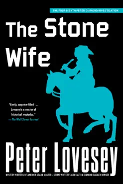 the stone wife book cover image