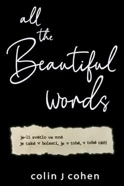 all the beautiful words book cover image