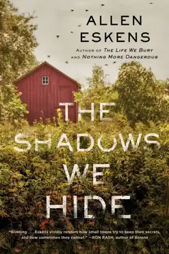 the shadows we hide book cover image
