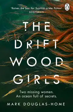 the driftwood girls imagen de la portada del libro