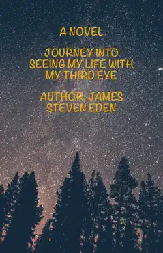 journey into seeing my life with my third eye book cover image