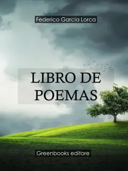libro de poemas book cover image
