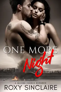one more night: a second chance romance book cover image