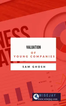 valuation of young companies book cover image