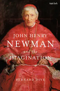 john henry newman and the imagination book cover image