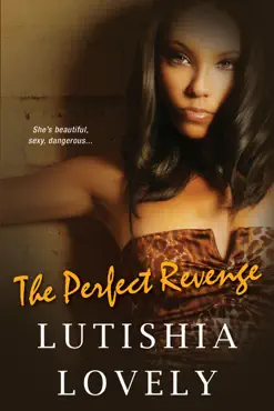the perfect revenge book cover image