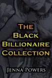 The Black Billionaire Collection synopsis, comments