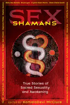 sex shamans book cover image