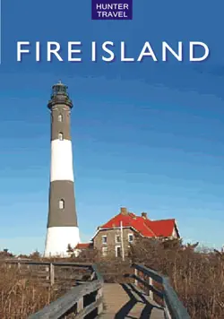 fire island book cover image