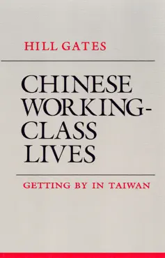 chinese working-class lives book cover image