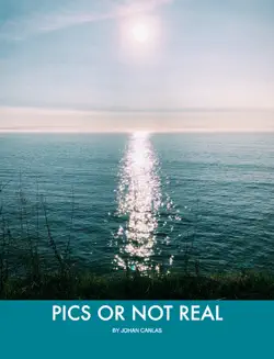 pics or not real book cover image
