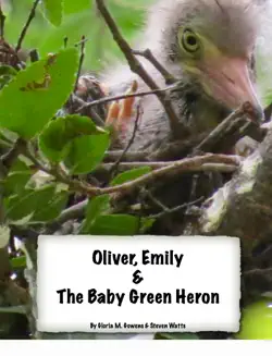 oliver, emily and the baby green heron book cover image
