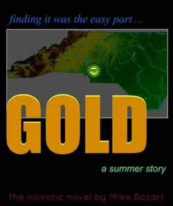 gold, a summer story book cover image
