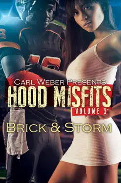 hood misfits volume 3 book cover image
