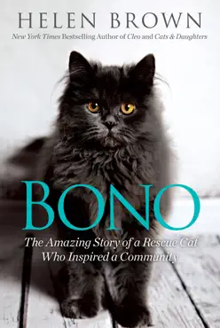 bono book cover image