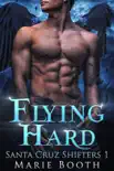 Flying Hard synopsis, comments