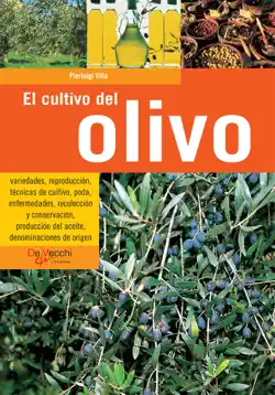 el cultivo del olivo imagen de la portada del libro
