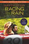 Racing in the Rain synopsis, comments