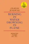 Burning in Water, Drowning in Flame synopsis, comments