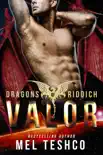 Valor synopsis, comments