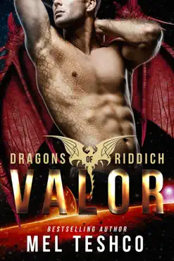 valor book cover image