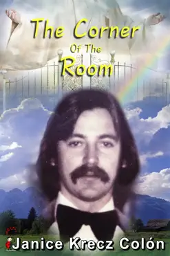 the corner of the room book cover image