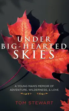 under big-hearted skies book cover image