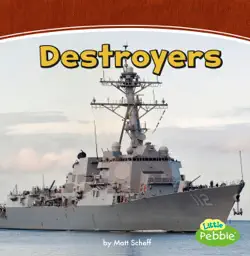 destroyers book cover image