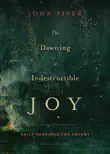 The Dawning of Indestructible Joy synopsis, comments