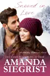 Snowed in Love synopsis, comments
