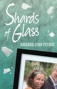 shards of glass book cover image