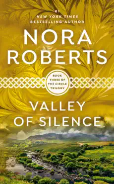 valley of silence book cover image