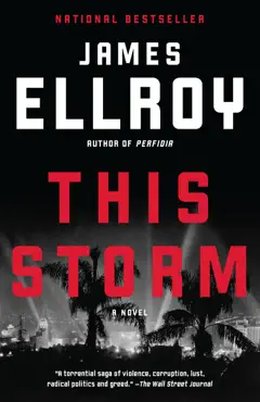 this storm book cover image