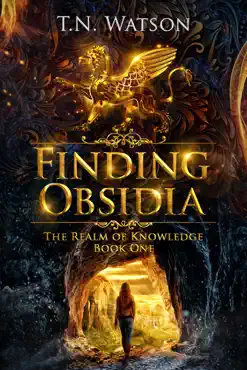 finding obsidia imagen de la portada del libro