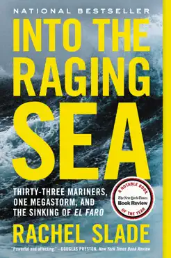 into the raging sea book cover image