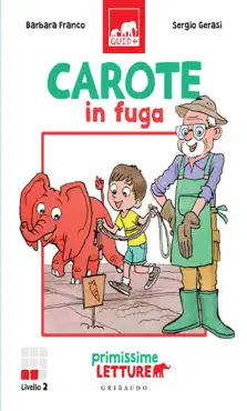 carote in fuga book cover image
