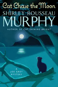 cat chase the moon book cover image