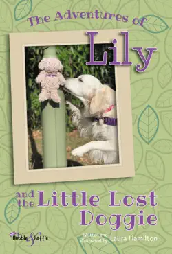 the adventures of lily book cover image