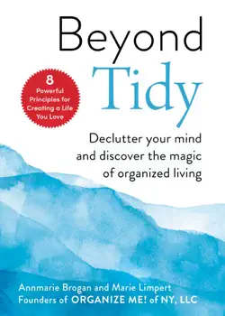 beyond tidy book cover image