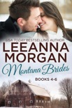 Montana Brides Boxed Set (Books 4-6) book summary, reviews and downlod