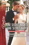 One Secret Night, One Secret Baby synopsis, comments