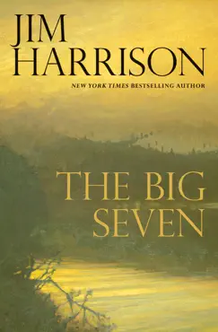 the big seven book cover image