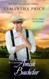 The Determined Amish Bachelor synopsis, comments
