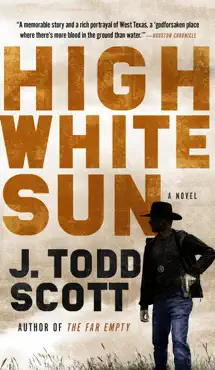high white sun book cover image