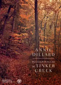 pellegrinaggio al tinker creek book cover image