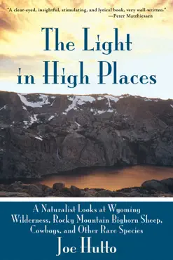the light in high places book cover image