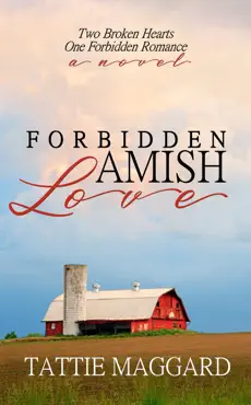 forbidden amish love book cover image