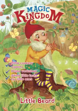 magic kingdom. little beard book cover image