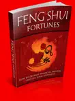 Feng shui synopsis, comments
